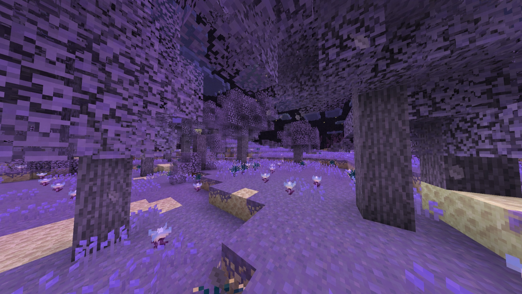 Ghostly Thickets Panorama